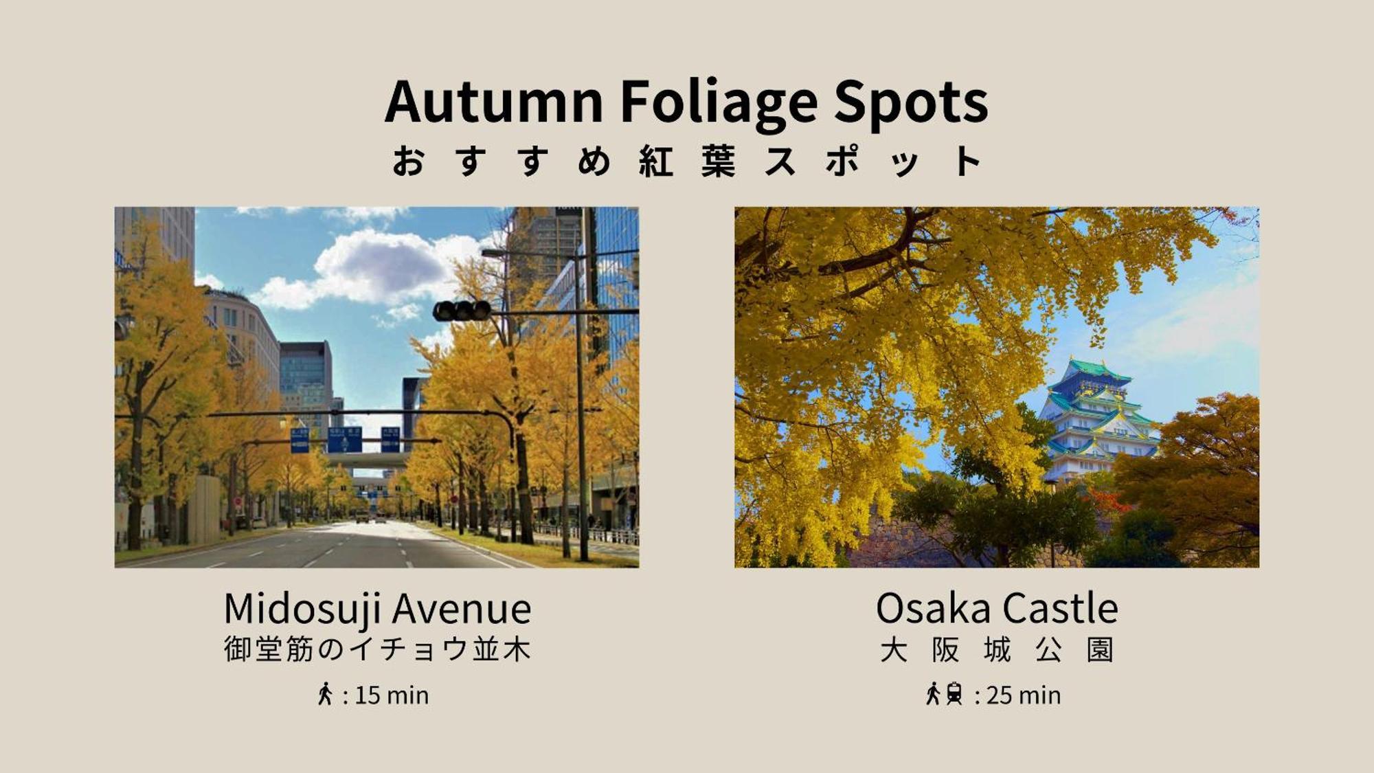 Apartemen Forestay Shinsaibashi
